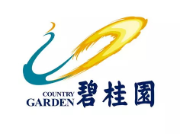 舒城碧桂园地产